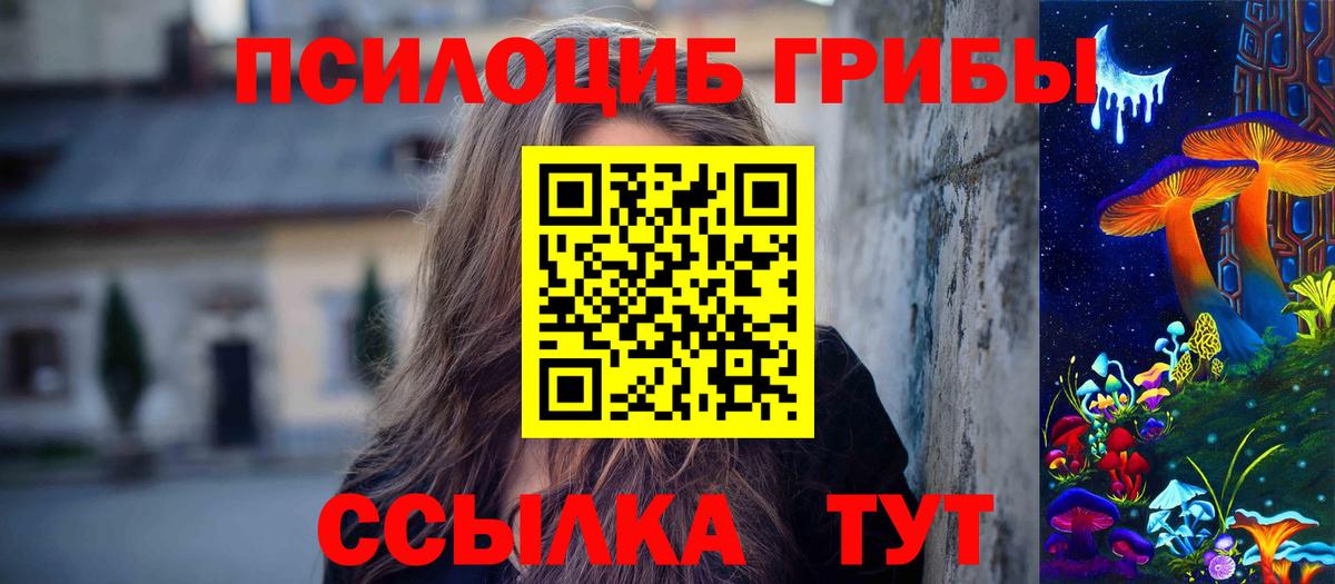 Чита  Псилоцибиновые грибы ЛСД  Вход с VPN  Галлюциногенные грибы Psilocybe 